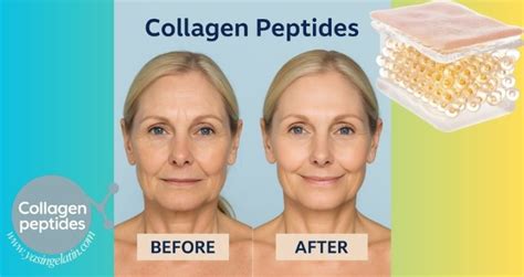 Best Peptide Company 2026: Market Data, Product Comparisons & Selection Guide for Industry Growth