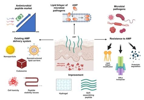The Ultimate Technical Guide to Skin Health Peptides: Purity, Specifications, and Certified Manufacturing for Cosmetic Formulation