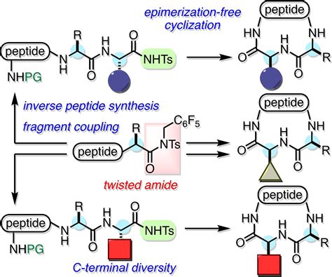 Reddit Peptides Sourcing Guide Purity Specs Certification