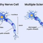 Retatrutide Peptide Sciences Technical Deep Dive Purity Specifications Manufacturing Sourcing Guide