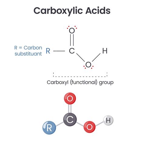 Anti Cyclic Citrullinated Peptide High Purity Specifications for Lab Sourcing and Manufacturing
