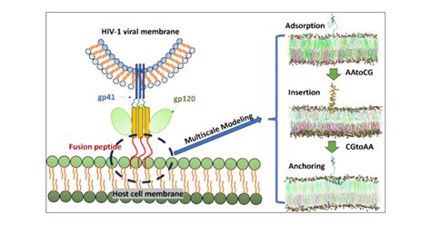 Simple Peptide Calculator Guide for Lab Formulation Purity Specification Certification Sourcing