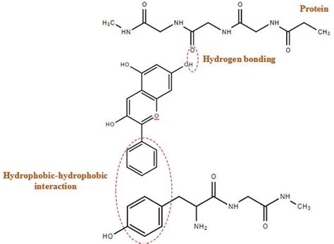 Bulk Peptide Sourcing Guide for Hair Density Serum Formulation