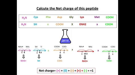 Glucagon Mechanism of Action: In-depth Analysis