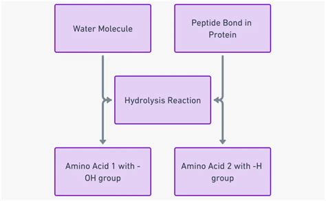 The Technical Guide to NAD Peptide Benefits Purity Specifications and Manufacturing Standards