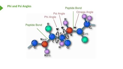Collagen Peptides Gummies Sourcing Guide Purity Specifications Certifications for Manufacturing