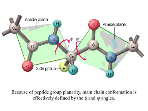 Gray Market Peptides Sourcing Guide Purity Specifications Certifications for B2B Manufacturing