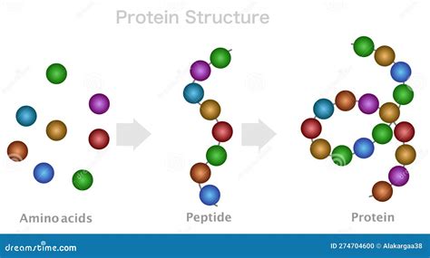 B2B Peptide Wholesale Guide to Strivectin Peptide Plump Purity, Specifications and Manufacturing