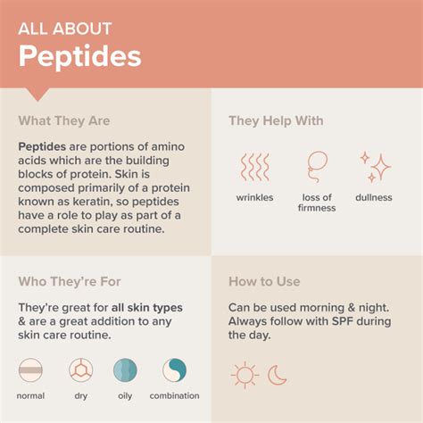 Doll 10 Peptide Bounce Balm Foundation: Purity, Manufacturing & Sourcing Guide for Cosmetic Labs