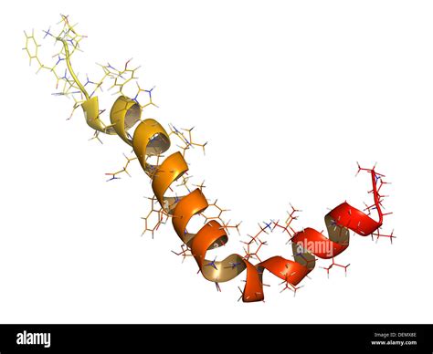 The Complete B2B Guide to Peptides for Skin Purity Specifications and Manufacturing Standards